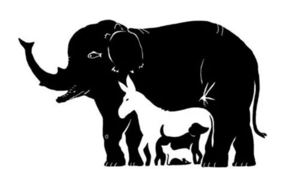 Poți să găsești cele 11 animale în 20 de secunde? Testul care dă bătăi de cap și geniilor