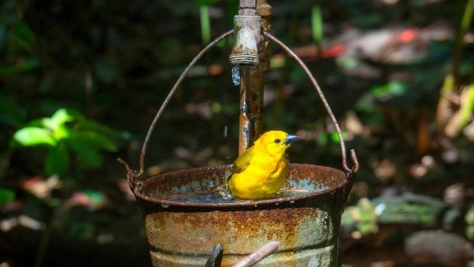 Satele din România unde oamenii fură până și APA 