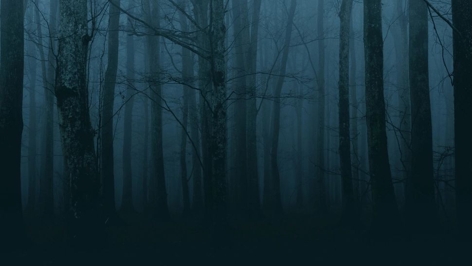 „Triunghiul Bermudelor” din România. Unde se află unul dintre cele mai înfricoșătoare locuri din lume - Poveștile țesute în jurul său sunt înfiorătoare