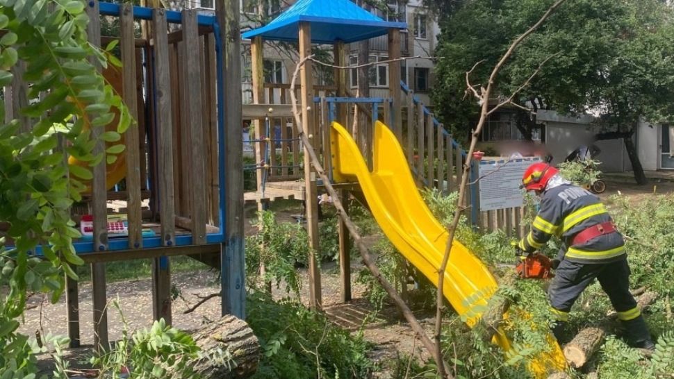 Un arbore imens a căzut peste un copil ce se afla într-un loc de joacă din Suceava - Care este starea micuțului