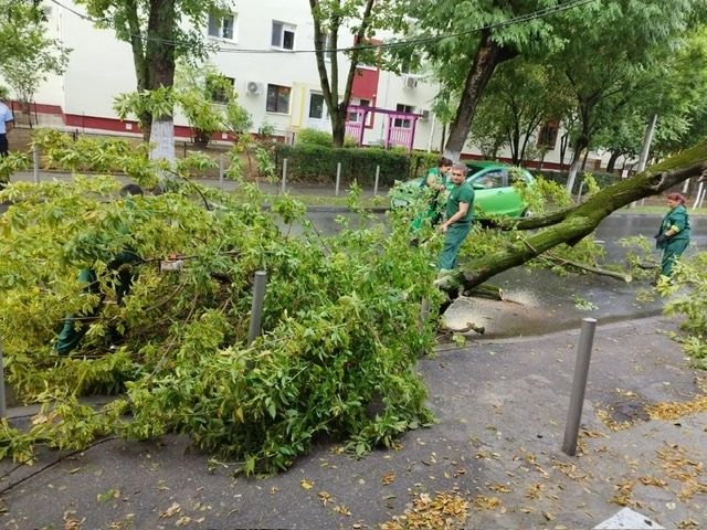 Alertă imediată de vânt puternic, cu aspect de furtună, în 6 județe. Vor fi rafale de 100 de km/oră 