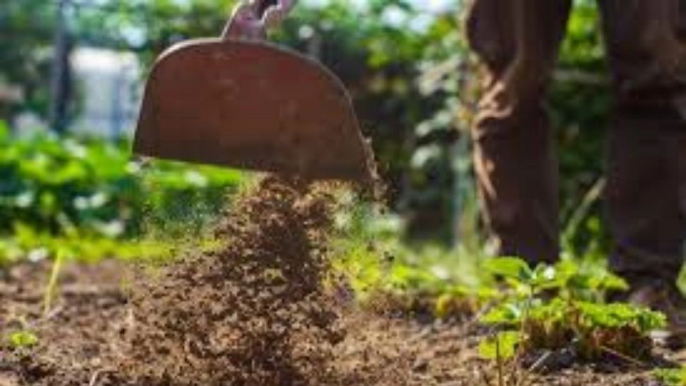 „Românii au ajuns să-și predea singuri fermele ca să scape de datorii”. Situația alarmantă a producătorilor români, explicată de un președinte de sindicat  