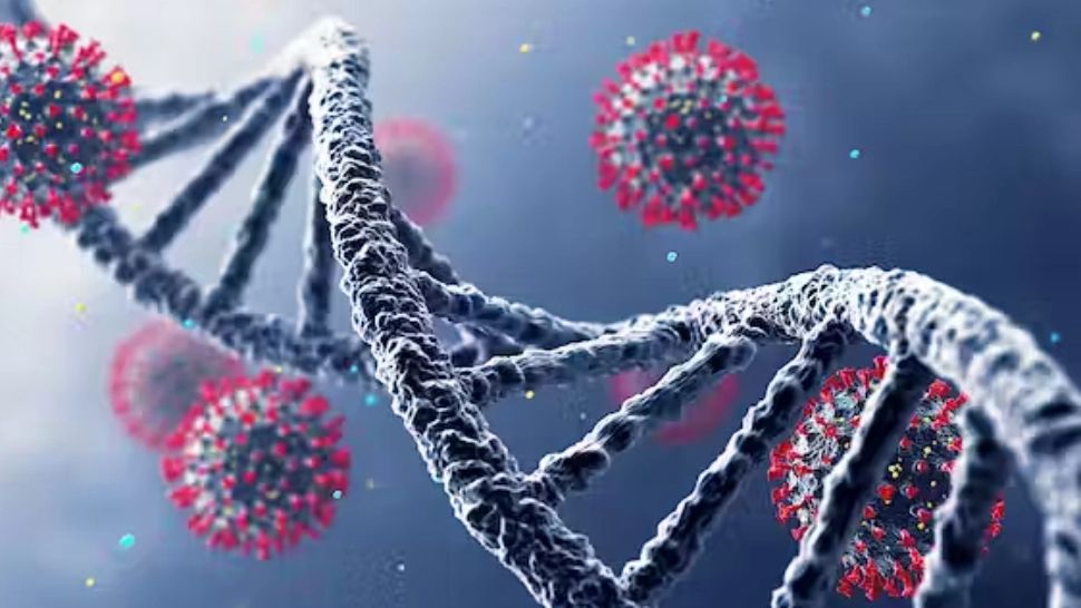 Concluzie după 3 ani de pandemie: Imunitatea dată de anumite gene determină COVID-19 asimptomatic la un sfert dintre cei infectați