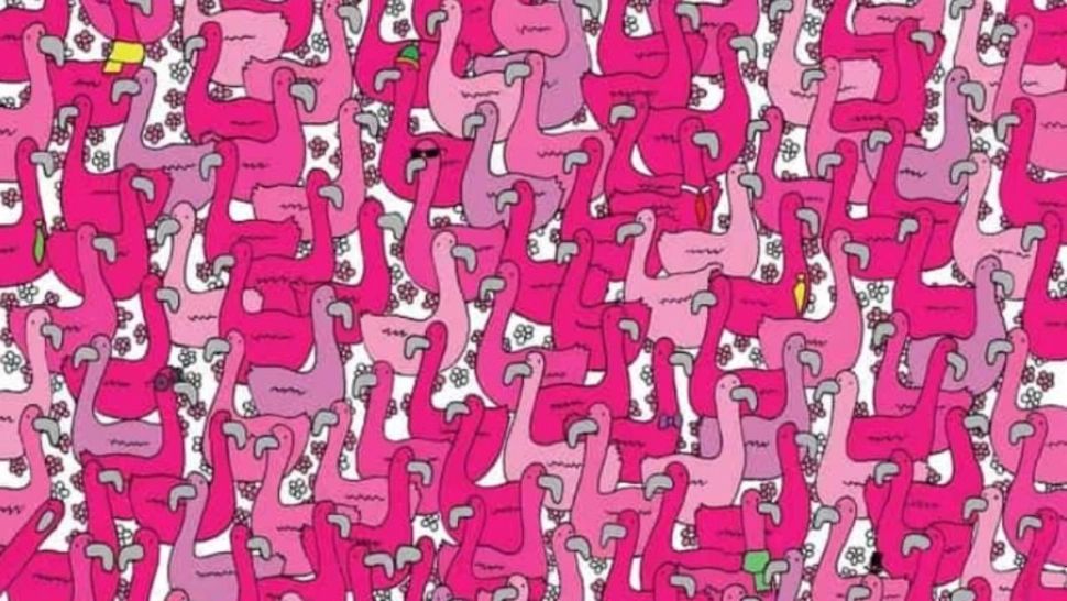 Testul de inteligență aproape imposibil de trecut - numai GENIILE știu rezolvarea. Găsești inimioara ascunsă?