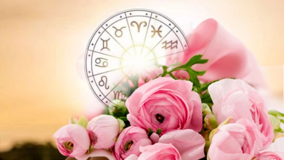 Floarea ta norocoasa, în funcție de zodie