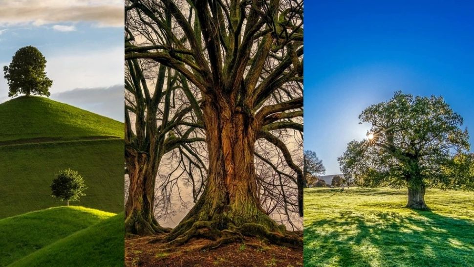 TEST despre viitorul pe care îl meriți - Imaginea care spune totul despre trecutul tău