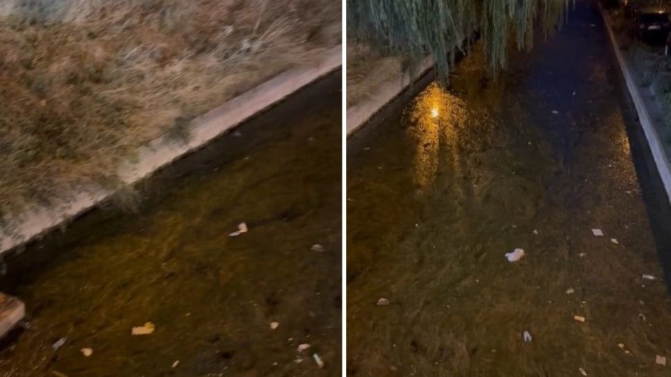 ANPC, semnal de alarmă pentru turiști: Pârâul care face legătura dintre Siutghiol şi Lacul Tăbăcăriei, un FOCAR DE INFECȚIE - VIDEO