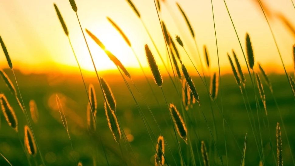 Prognoza meteo pe o lună. Vremea, dintr-o extremă în alta: caniculă și furtuni violente. Zonele cu temperaturi insuportabile până pe 14 august