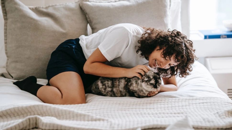 Cum afli dacă pisica are încredere în tine. 8 semne prin care felina îți arată prietenie