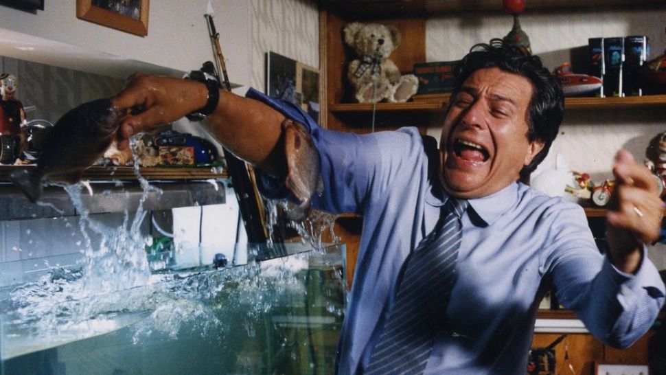 Ai grijă la ce bagi în acvariu! Cele mai agresive specii de pești de casă