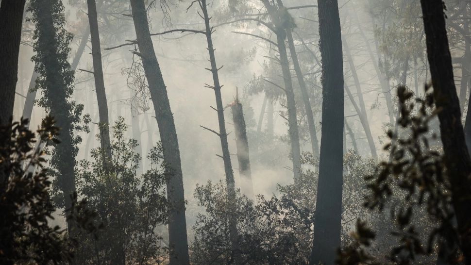 Cel puţin 500 de oameni au fost evacuați pe insula spaniolă La Palma, din cauza unui uriaș incendiu de vegetație