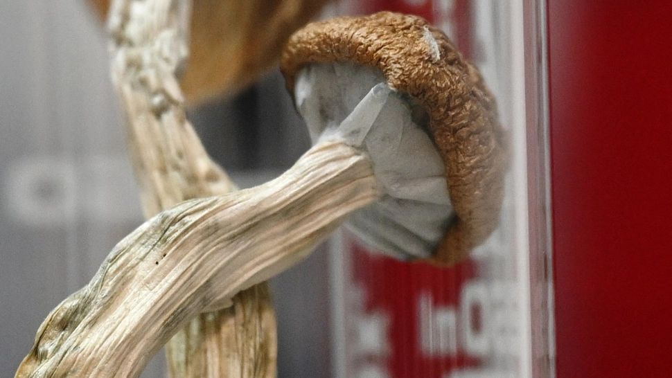 Dramă într-un cuplu de toxicomani din Sibiu. Femeia a murit, iar bărbatul a stat 2 zile lângă cadavru