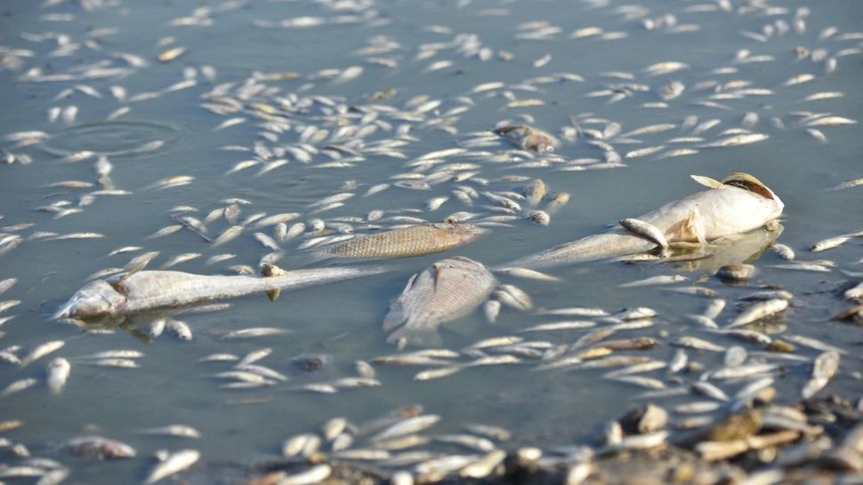 Marți, cea mai fierbinte zi la nivel planetar. Este a doua zi la rând cu un record ISTORIC