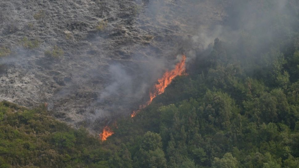 Noi ordine de evacuare în Grecia! Pompierii eleni, la capătul puterilor: au avut de luptat cu 90 de incendii într-o singură zi - Suprafața mistuită de flăcări e uriașă