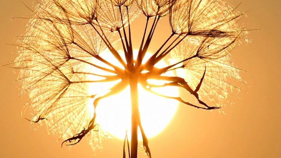 Prognoza meteo pe o lună. Vremea extremelor: caniculă și furtuni devastatoare. Zonele cu temperaturi de nesuportat până pe 21 august