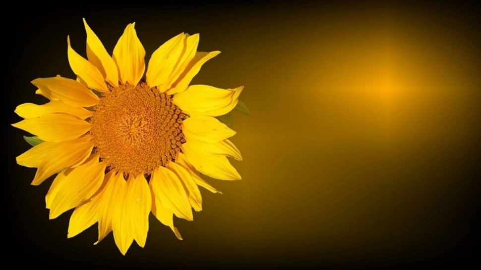 Prognoza meteo pe două săptămâni: revine canicula. Zile de foc anunțate din nou de meteorologi. Cum va fi vremea până pe 13 august