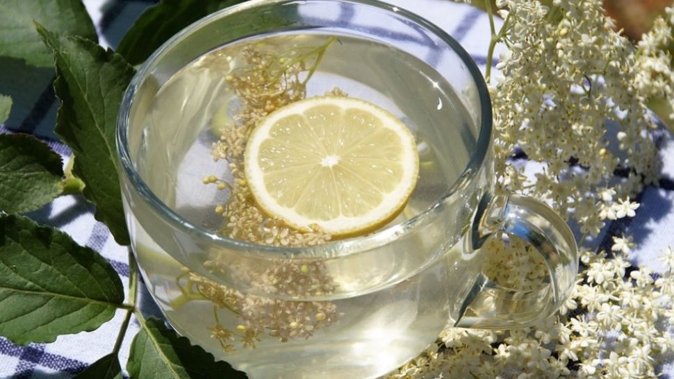 Dieta cu flori de soc. Efectele se văd imediat - cum se ține corect pentru o slăbire garantată