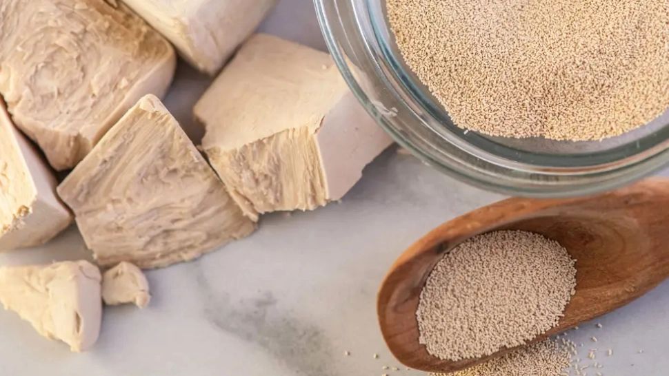 Drojdia de bere, elixirul tinereții. Ingrediente speciale pentru o cură cu efecte miraculoase - Ține departe bolile