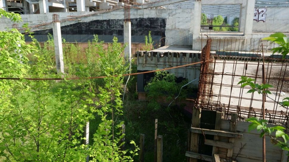 Patinoarul Flamaropol, în ruină - Natura l-a confiscat după ce a fost „rostogolit” de 10 ani în mandatele tuturor primarilor Capitalei