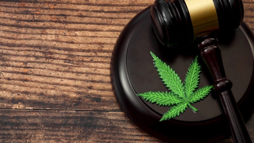 Inspecția Judiciară, anunț după accidentul din 2 Mai: CONTROALE la dosarele din instanțele din România pe deținere și consum de droguri