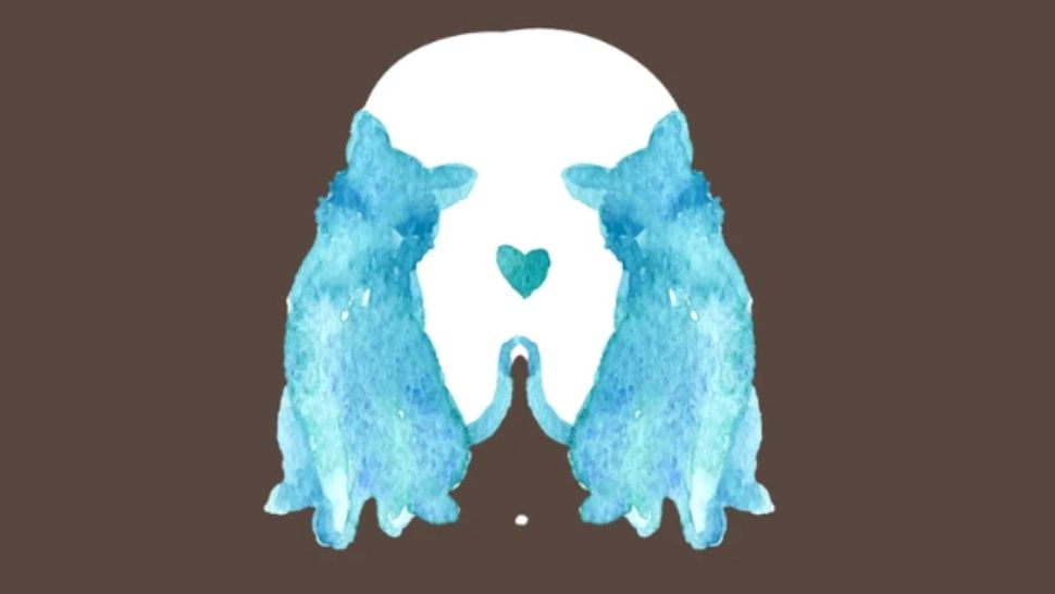 TEST - Ce vezi prima dată: un câine sau două pisici? Răspunsul spune totul despre tine