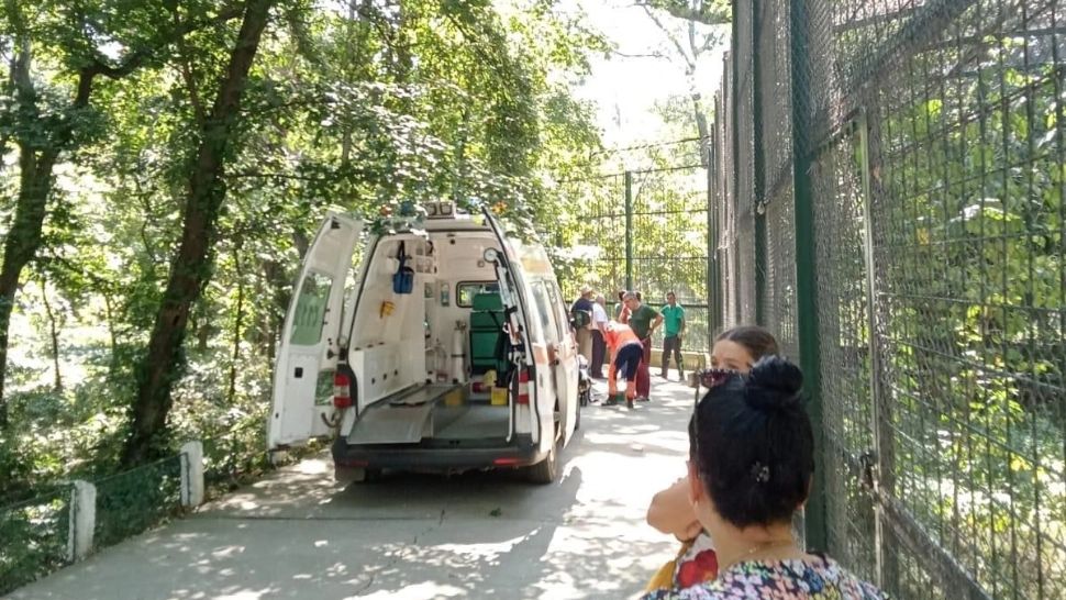 Bărbat luat cu salvarea, după ce a fost mușcat de un tigru, la Grădina Zoo din Bârlad. "A avut un moment euforic" - FOTO