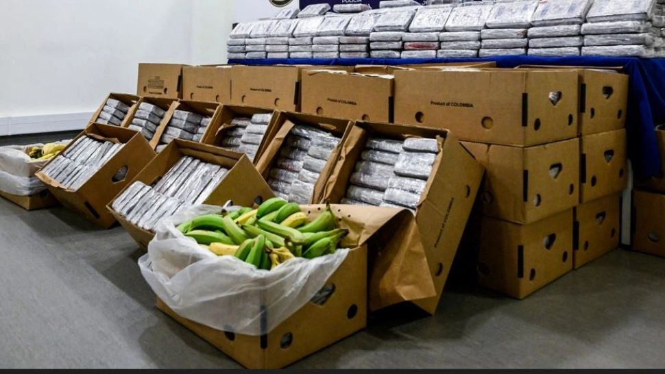 Peste 600 de kilograme de droguri descoperite într-un transport de banane