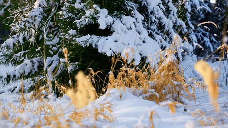 Testul care i-a scos din minți pe mulți. Ai fantezii perverse? Ce vezi în fotografie