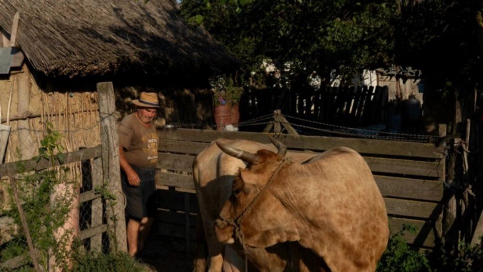 O casă din România, prima victimă a bombardamentelor rusești. Omul s-a trezit noaptea cu groază: „Părea un film de război chiar la ușa mea””