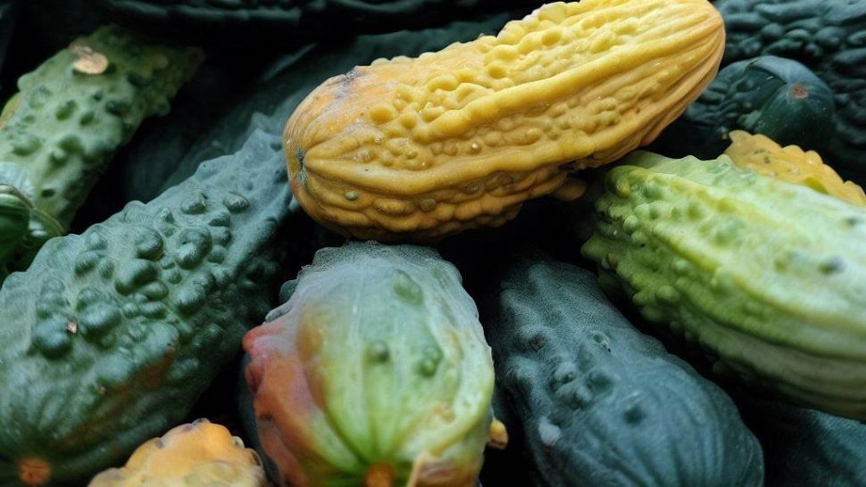 Ce se întâmplă dacă mănânci cel puțin un castravete în fiecare zi - Riscurile pe care nimeni nu le spune