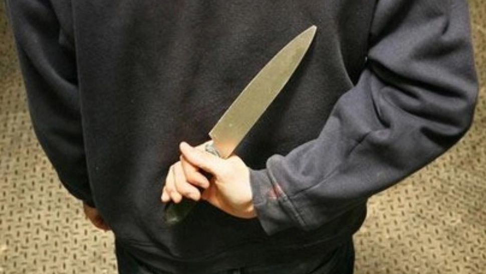 Femeia care a pretins că și-a ucis un fiu, pentru a-l acoperi pe alt fiu care a comis crima, a fost eliberată