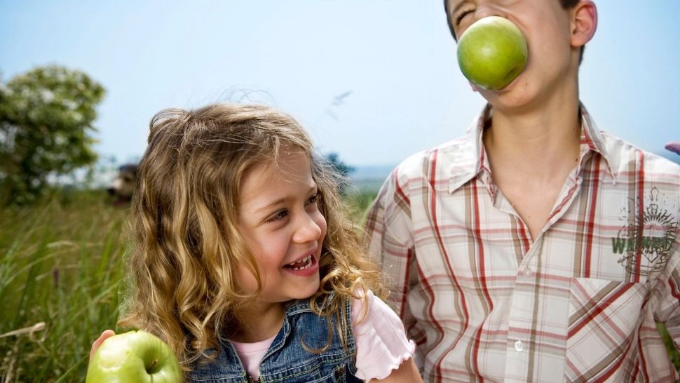 Sănătatea danturii. Cele 9 alimente care îți curăță și albesc dinții