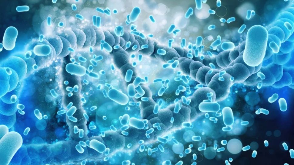 Alertă în Polonia: Focar de Legionella, bacteria mortală, la granița cu Ucraina - Cel puțin 5 morți după infectarea cu „boala legionarilor”