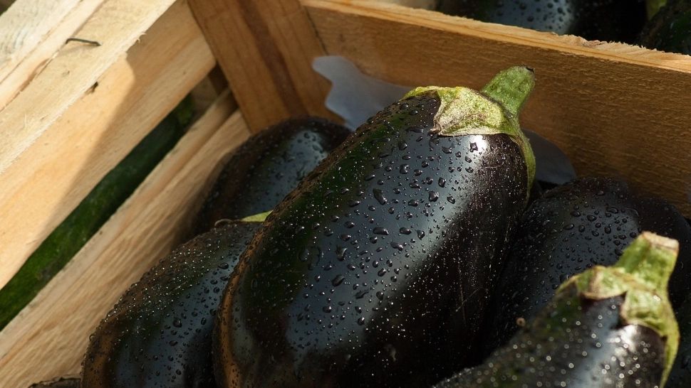 A început  sezonul vinetelor în piețe. Care mai este prețul lor la tarabă