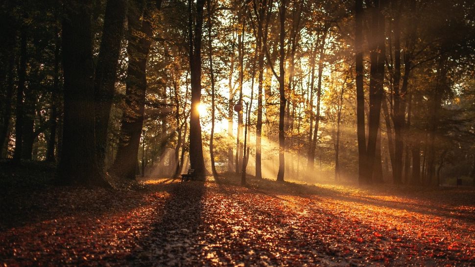 Horoscop 23 august. Începe Sezonul Fecioarei: ce au pregătit astrele pentru fiecare zodie/ascendent până pe 23 septembrie - Influența lui Mercur retrograd