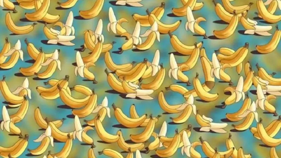 Iluzie optică. Unde este ascuns obiectul misterios - Doar cei cu un IQ peste medie îl descoperă în 10 secunde - Test viral