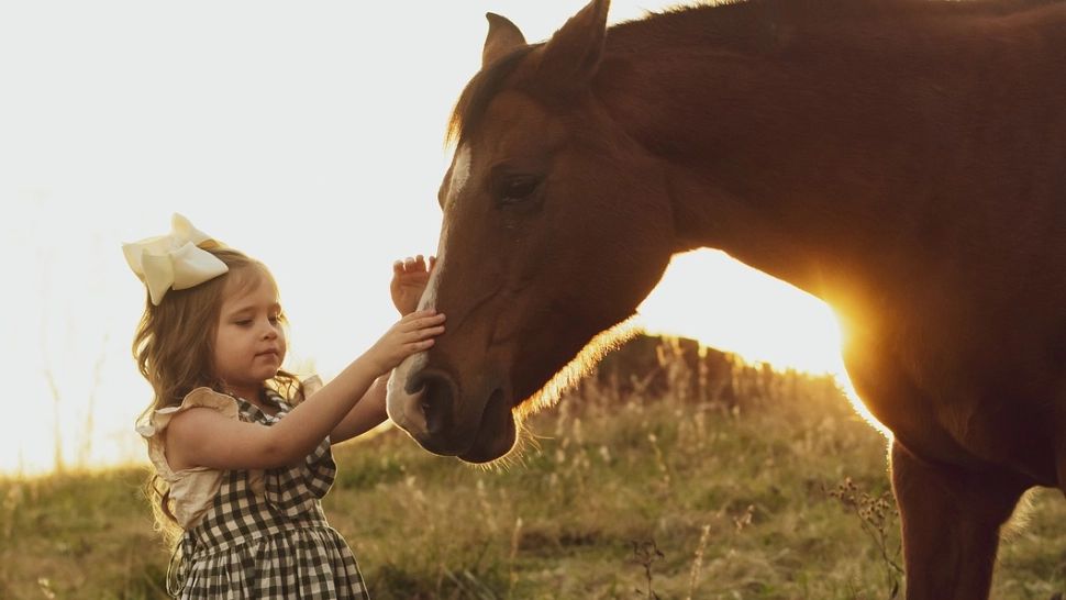 Locul din România unde copiii fac terapie cu cai. Hipo-terapia, metoda inedită care îi ajută să scape de frici 