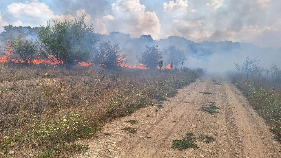 Bătrână carbonizată de incendiul de vegetație pe care chiar ea l-a provocat
