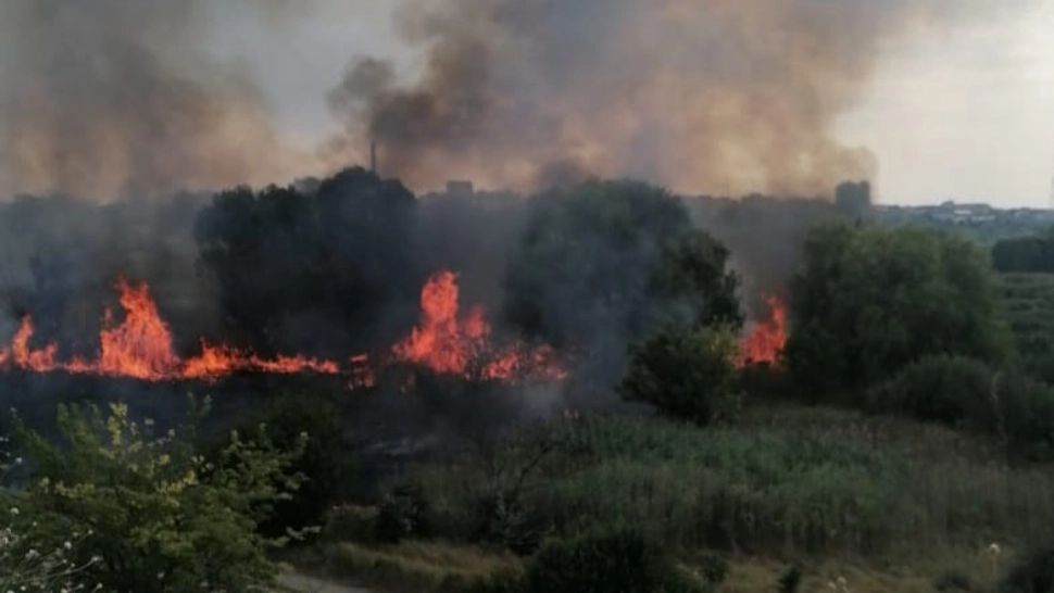 Incendiu de proporții în Delta Văcărești din București. Imagini dramatice, au intervenit pompierii - VIDEO