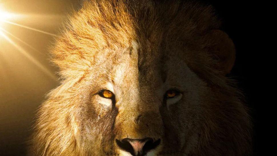 Ce este Portalul magic deschis pe 8.08: Treziri bruște în iubire pentru câteva zodii - Ritualul prin care să profiți de energia Leului