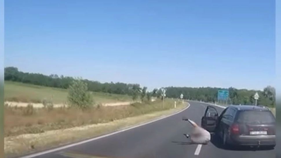 S-a aruncat din mașină, în mers, ca să nu fie prins de polițiști. De ce i-a fost frică, n-a scăpat! VIDEO