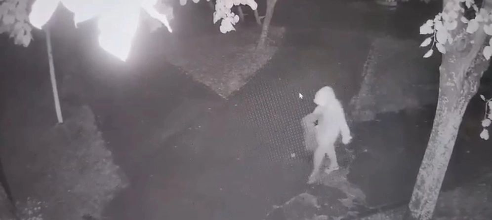 Crima de la Mangalia: Mărturisirile taximetristului care a transportat-o pe Loredana cu valiza în care era cadavrul Alinei