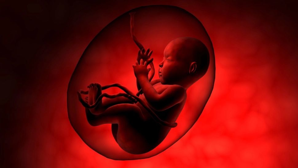 Fără bărbat, femeie și sex. Oamenii de știință sunt la un pas de copilul UNICELULAR