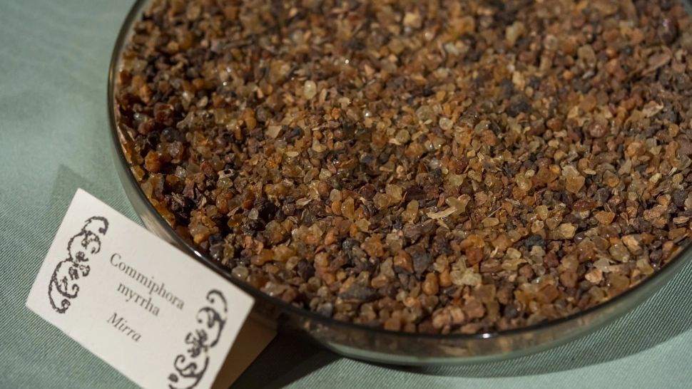 Mirul are calităţi vindecătoare. Ce poți trata cu leacul neașteptat