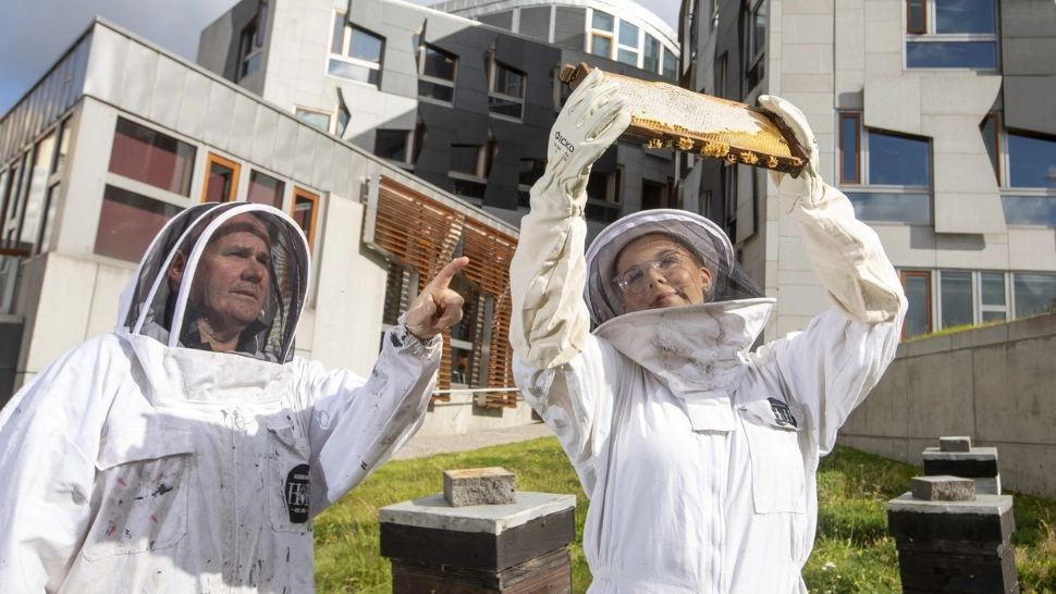 Cum îți dai seama ca mierea este NATURALĂ? Cum pot păcăli apicultorii albinele