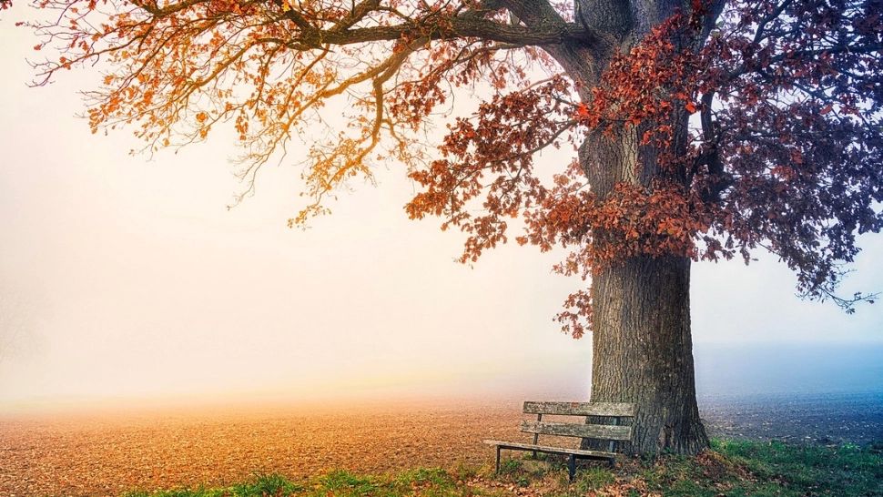 Prognoza meteo pe două săptămâni: zonele unde se instalează toamna. Schimbări radicale: cum va fi vremea până pe 10 septembrie