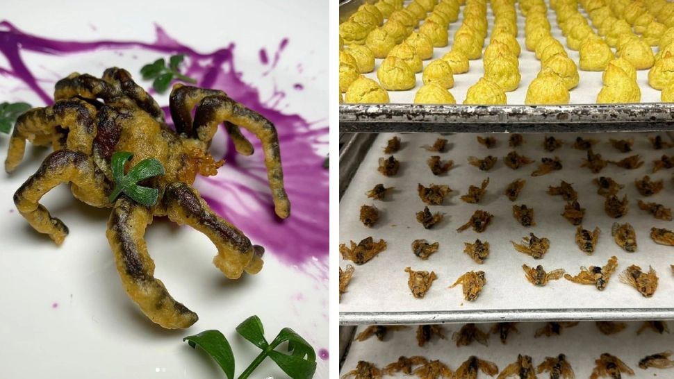 Tarantulă în crustă, guacoamole cu furnici negre sau popcorn cu lăcuste. De ce un meniu cu insecte le-ar provoca indigestii românilor 