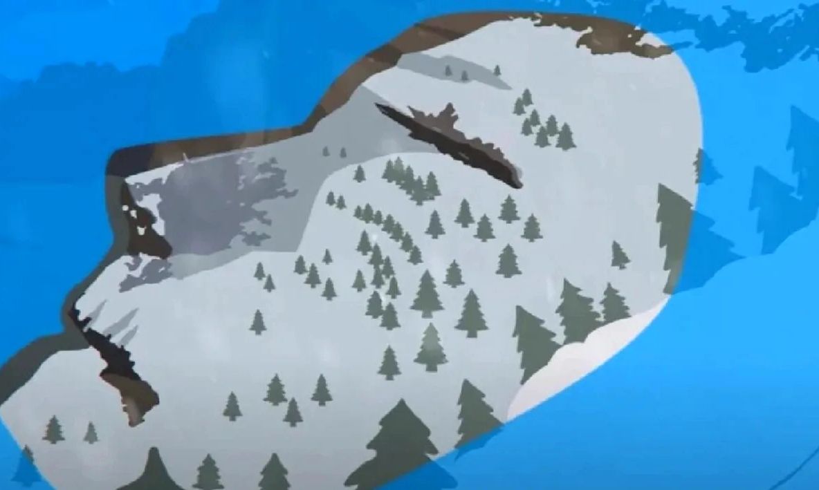 Testul care-ți arată cât de leneș ești, de fapt. Ce vezi in imagine?