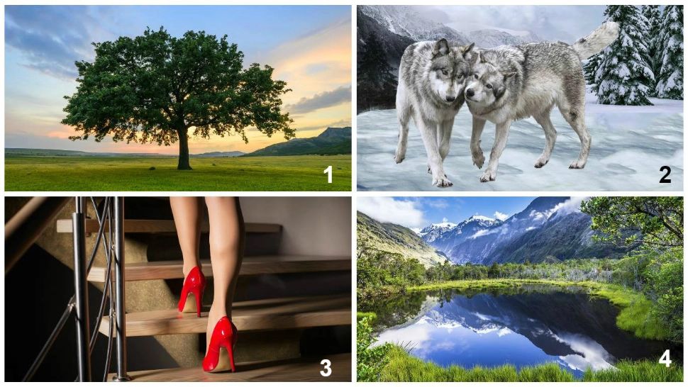 Testul infidelităţii: Imaginea care te atrage spune cât de dispus(ă) ești să „calci pe alături”