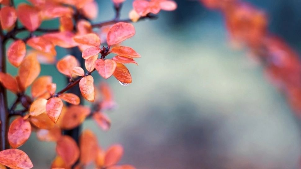 ANM: Octombrie, cea mai stabilă lună de toamnă - Temperaturile pot urca până la 38 de grade Celsius